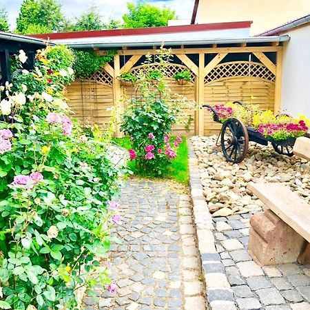 Ferienwohnungen Grimma 3 المظهر الخارجي الصورة